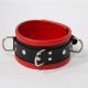 Titus Leather D-Ring COLLAR | Various Colours