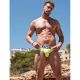 Box Colour Briefs | Green