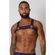 Cell Block 13 TORQUE Harness | Blue