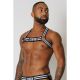 Cell Block 13 TORQUE Harness | White