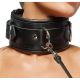 Heavy Duty Padded Leather Collar with Leash
