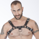 Titus H-Front Leather Chest Harness | Black