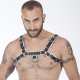 Titus H-Front Leather Chest Harness | Black & White