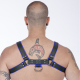 Titus H-Front Leather Chest Harness | Black & Blue