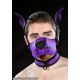 Mr. S Leather  Neoprene K9 Muzzle Kit - Purple