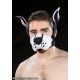 Mr. S Leather  Neoprene K9 Muzzle Kit - White