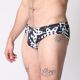 Timoteo LAKESHORE Low Rise Swim Brief | Stars & Stripes