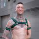 Mr. S Leather Neo Bold Color Bulldog Harness - Hunter