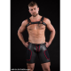 Mr S Leather NEOPRENE Lace-Up Football Short w/ Rear Zipper | Red & Black
