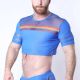 Timoteo Pride Crop Top | Blue