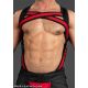 Mr.S Leather X-Factor Bold Color Cock Strap | Red