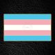 Master of the House Pin - Trans FLAG