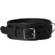 Premium Padded Leather Locking Collar
