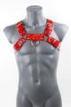 VAST Bulldog Chest Harness | Red