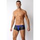 Vector Trunk by Cell Block 13 | Blue