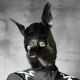 Boxer Barcelona X2 Pup Hood | All Black