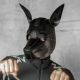 Boxer Barcelona X3 Pup Hood | All Black
